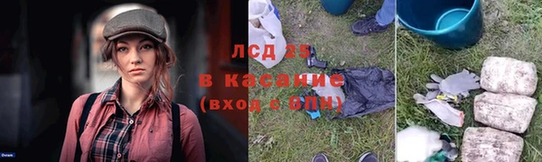гидропоника Алзамай