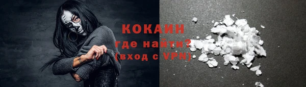 шишки Нея